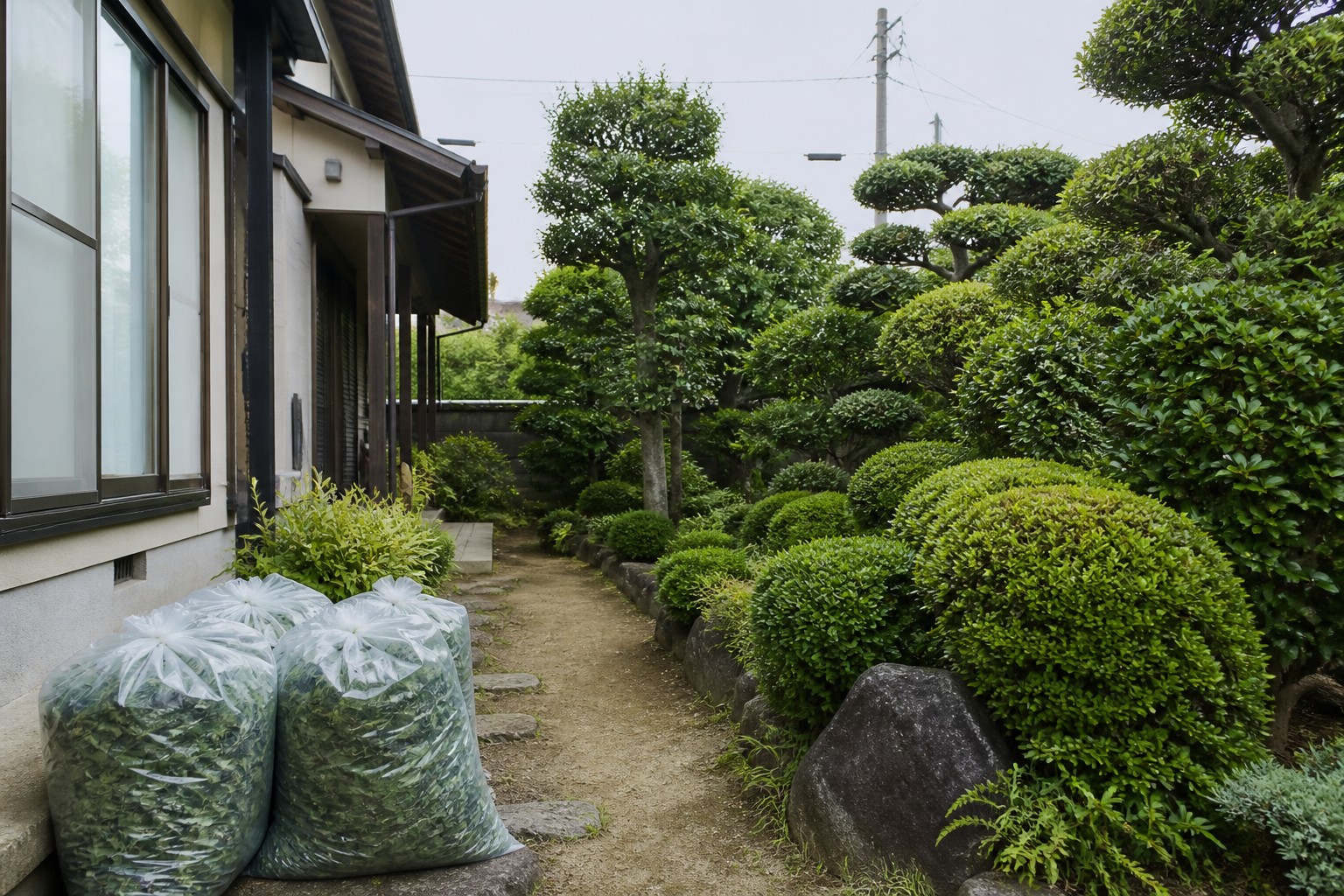 手入れ後の庭木と通りやすく整った住宅の庭のイメージ