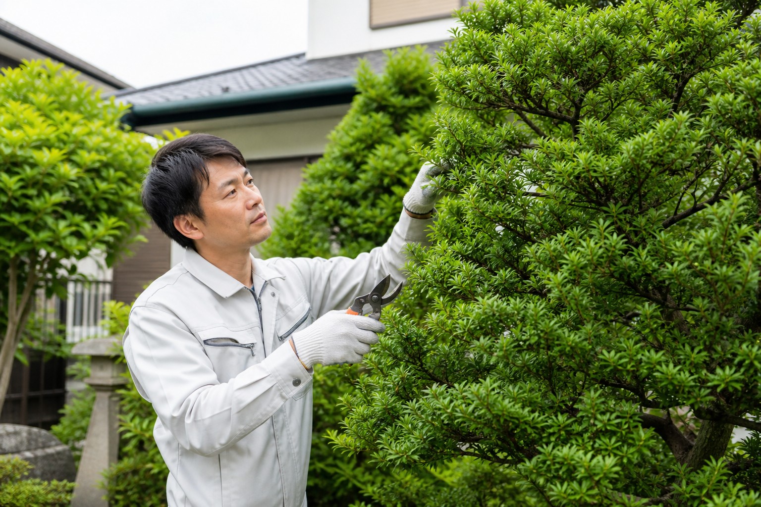 あま市の住宅の庭で、庭木の状態を確認する庭まわりの手入れのイメージ