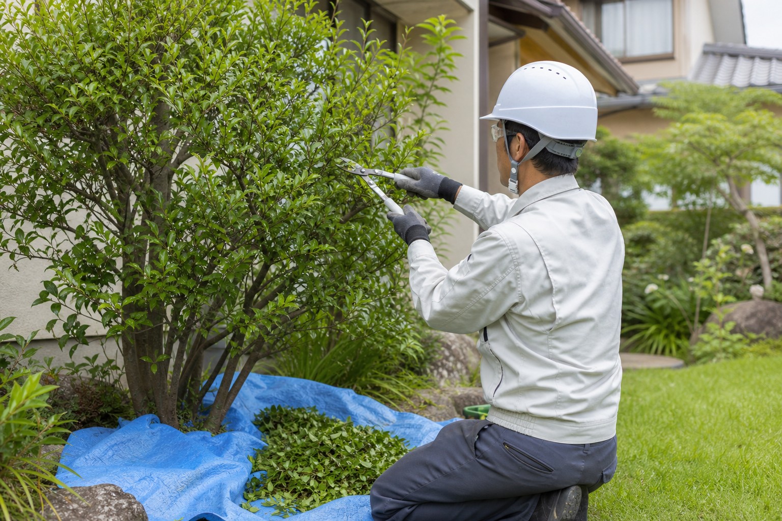 手袋と保護具を着用した作業者が、庭木の枝を安全に確認しながら手入れするイメージ